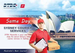 Sane Day Courier Services
