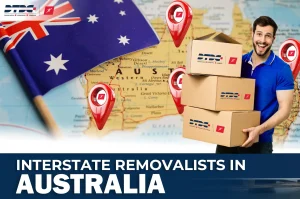 provide meta description for this blog. also alt text for the featured image of the blog